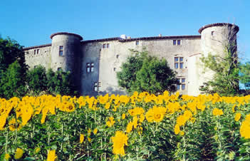 Vue générale de la face Nord